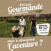 Balade Gourmande à 6 pattes