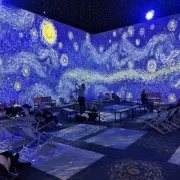 Van Gogh : The Immersive Experience