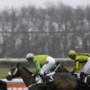 Courses hippiques et animations à l\'hippodrome de Bordeaux-Le Bouscat