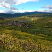 Marche Populaire de Rouffach