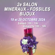 Salon minéraux, fossiles, bijoux de créateur.