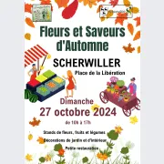 Fleurs et saveurs d'automne