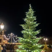 Weihnachtszeit in Seebach