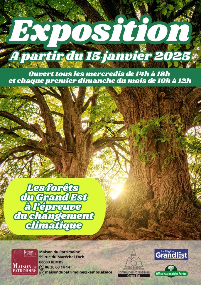 Les forêts du Grand Est à l'épreuve du changement climatique