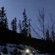 Trail de la Fée Blanche - Terre de Running