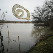 Les Choses du ruisseau