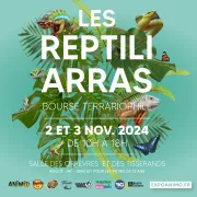 Les Reptiliarras