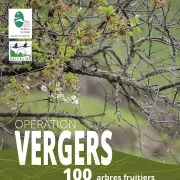 Opération Verger