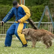 Championnat de France du Travail Pratique en Campagne (Sport canin)