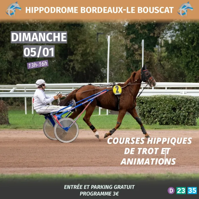 Courses hippiques et animations à l'hippodrome