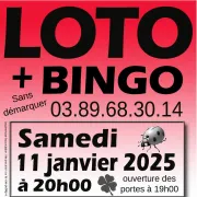 Loto - Bingo