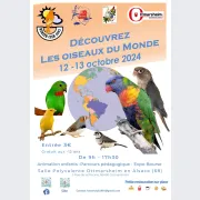 Le monde des oiseaux