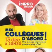 Show d'IMPRO Alsace : Mes collègues d'abord