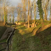 visite guidée dominicale