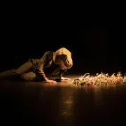 Dinosaure | Danse hip-hop