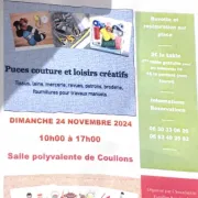 Vide coffre à jouets et puces couturière 