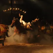 Avant la Nuit d'après - cirque théâtre équestre à Mulhouse