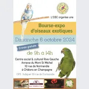 Bourse exposition oiseaux exotiques