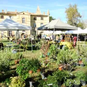 Journées des Plantes