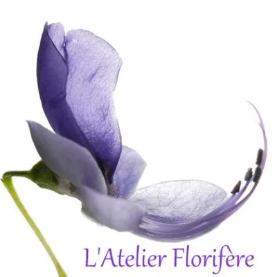 L'Atelier Florifère