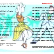 Stages de Danses