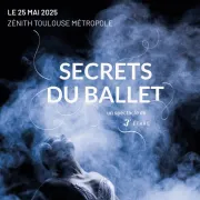 Secrets du Ballet, épisode I