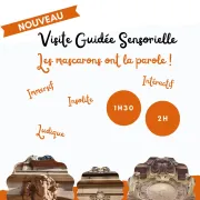 Visite guidée sensorielle, Les mascarons ont la parole