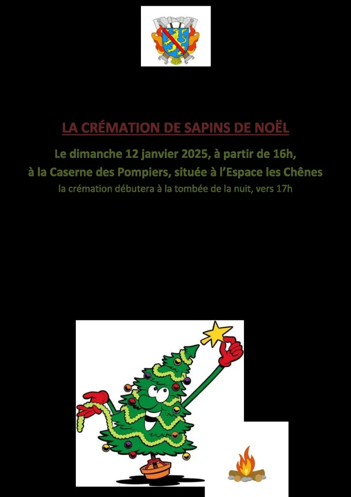 Crémation de sapins