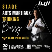 Stage d\'arts martiaux