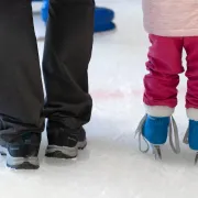 Glaçon des oursons (réservé aux enfants de 2/5ans)