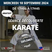 Séance découverte - Karaté