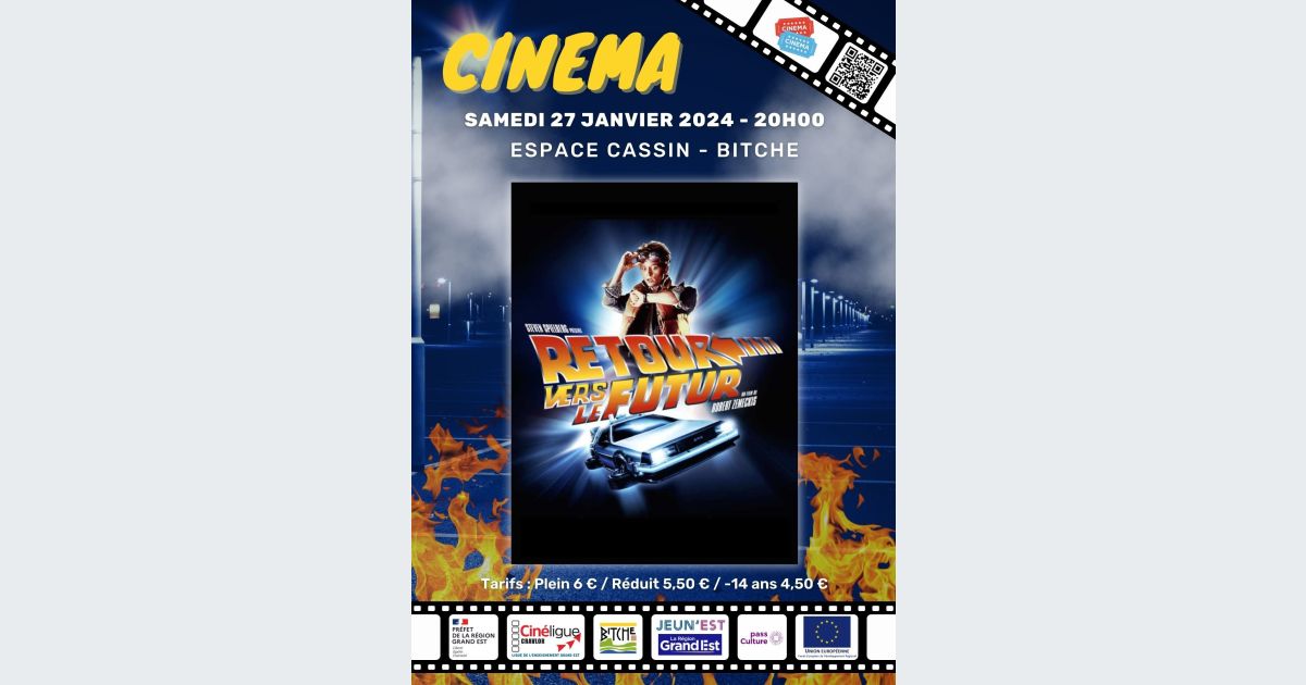 Ce cinéma d'Ille-et-Vilaine propose une journée Retour vers le futur et une  balade en DeLorean !