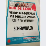 collecte de sang 