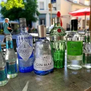 Dîner Dégustation avec accords 100% Gins