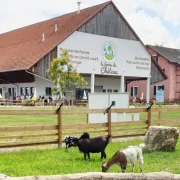 Marché des producteurs 