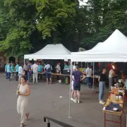 Vide grenier à Neuwiller les Saverne