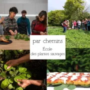 Journée immersive Gastronomie des plantes sauvages