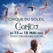 Le Cirque du Soleil \