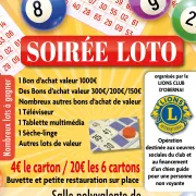 Loto Bingo - Lions