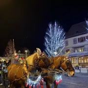 Féeries de Noël : Balades en calèche