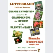 Exposition mycologique de champignons, de plantes à baies et de lichens