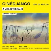 CinéDjango : À Vol d’oiseaux