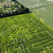 Labyrinthe Les Hautes Herbes