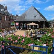 Rando Fête de la Jonquille à Clères (13 kms)