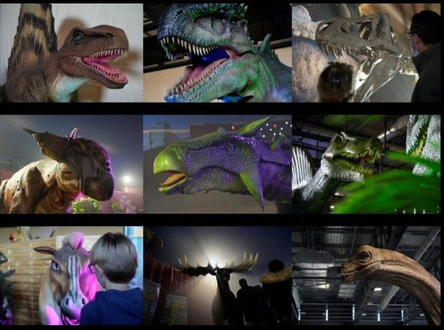 Dinosaures À Doigts - Retours Gratuits Dans Les 90 Jours - Temu