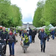 12ème Fête Des Plantes