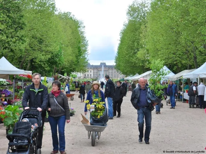 12ème Fête Des Plantes