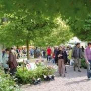 Marché aux plantes du Zoo de Mulhouse 2025