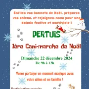 1ère Cani-marche de Noël