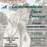 1ère édition des automnales du Cheval Camargue